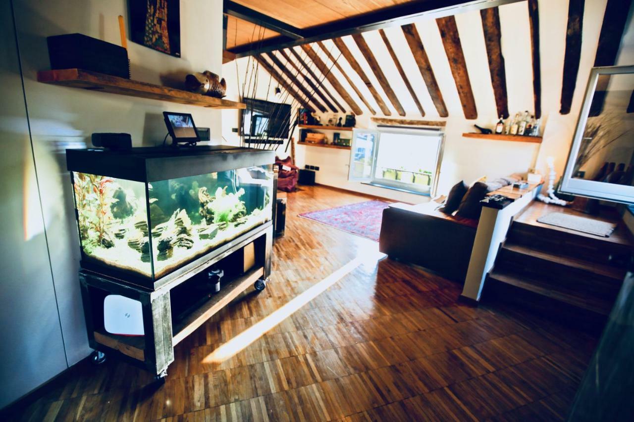 Apartment G.a.p. Aquarium Pentahouse